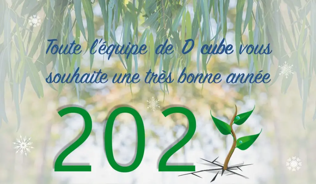 Bonne année 2021
